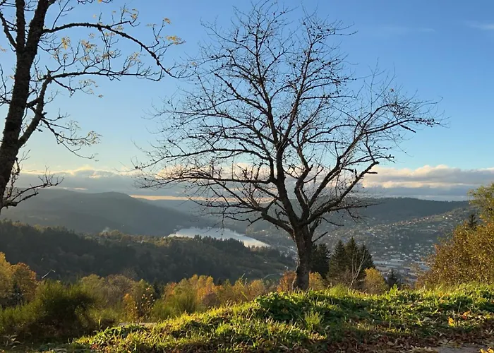 Apartmán Sur Les Hauteurs De *